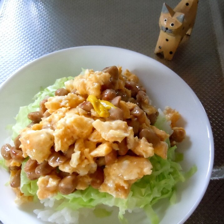 レンジで簡単キャベツたっぷり納豆卵丼